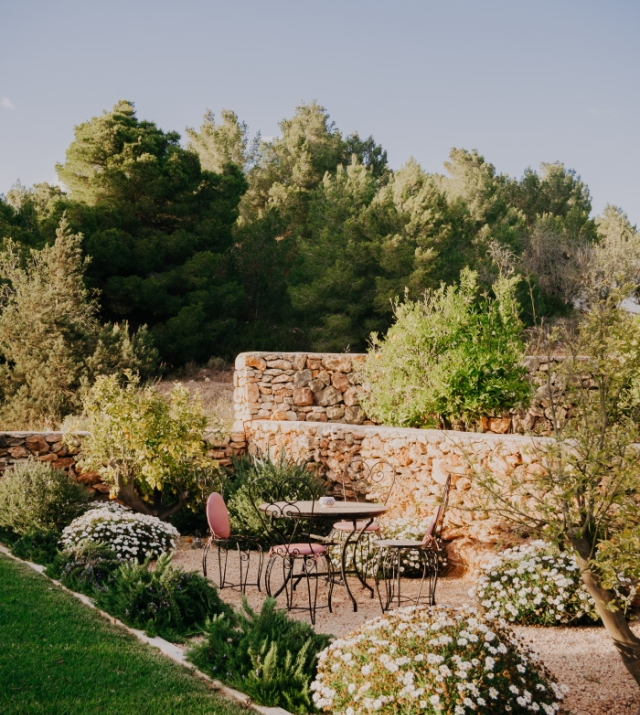 Resa estates Ibiza for sale finca Santa gertrudis garden 2.jpg